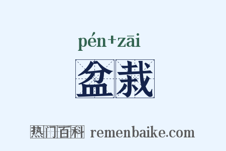 盆栽是什么意思的图片